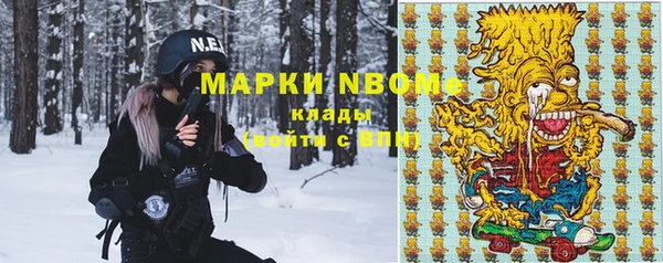 гашик Алексин