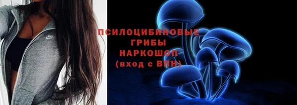 гашик Алексин