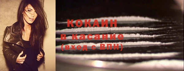 гашик Алексин
