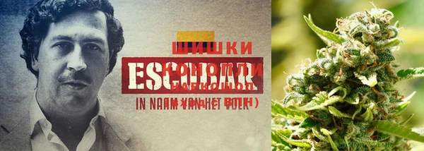 MESCALINE Алексеевка