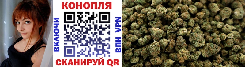 Бошки марихуана план  Купить закладки  Бахчисарай 